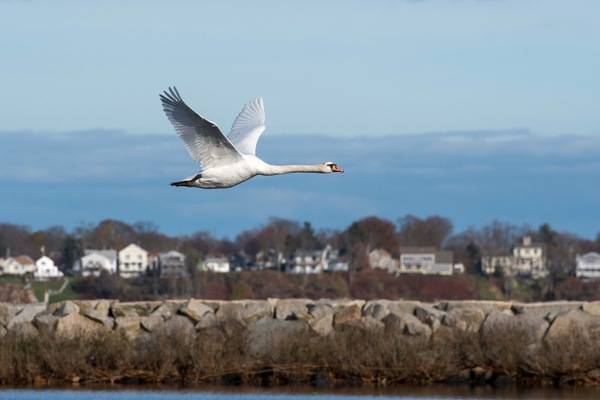 Taken by Joan DiSanto at Salter Grove